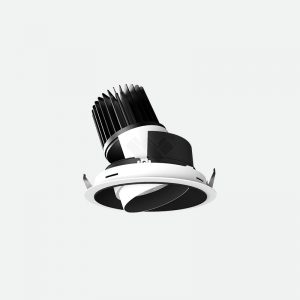 professional downlight