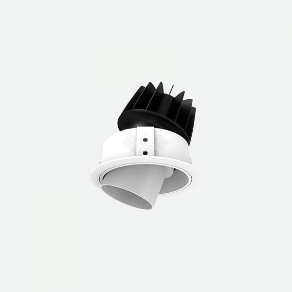 snoot adjustable led luminaire