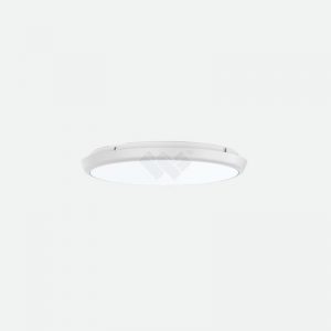 Surface Mount Ceiling Light