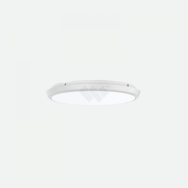 Surface Mount Ceiling Light