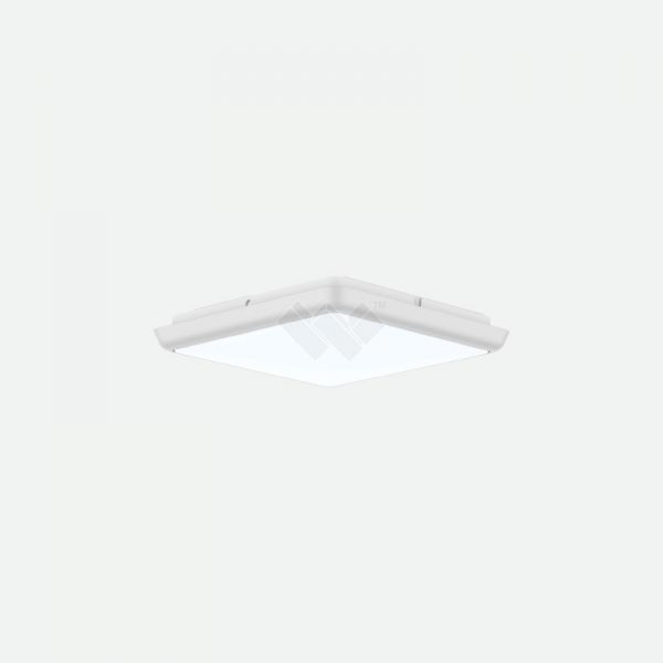 Flush Mount Ceiling Light